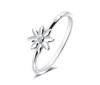 Silver Ring NSR-4245